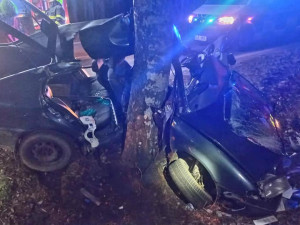 VIDEO: Vážná dopravní nehoda na Táborsku pohledem hasičů. Podívejte se na záběry z místa