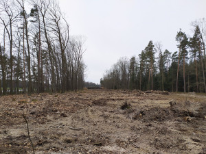Práce na obchvatu Lišova pokračují. Pomalu se ukazuje trasa nové silnice