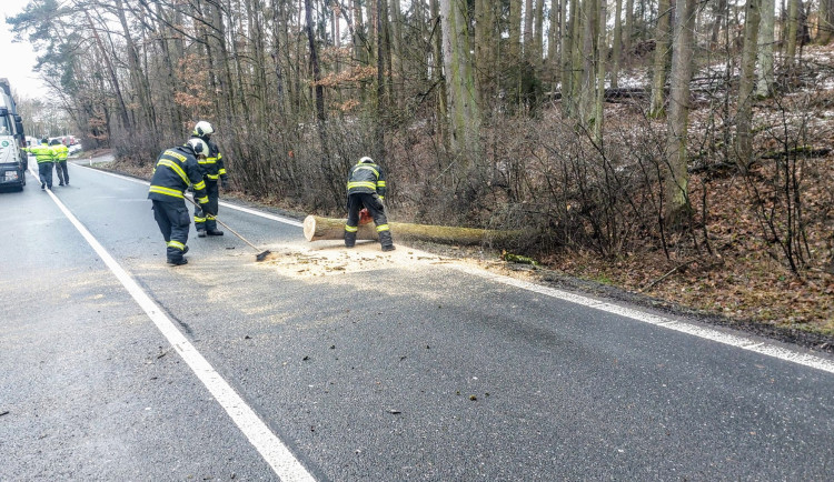 Hasiči od noci řeší popadané stromy. Nejvíce na Jindřichohradecku