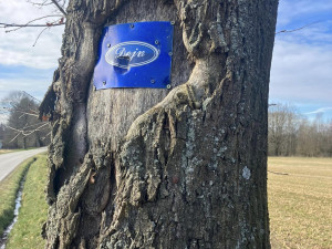 Nepochopitelné vandalství. Kdosi poškodil hrob a pietní místo tragicky zesnulého mladíka