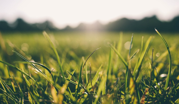 O víkendu se oteplí, může být až 15 stupňů Celsia