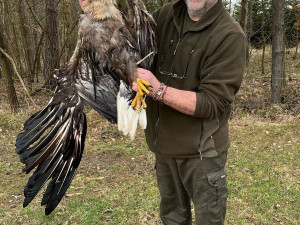 336059943_592676912905664_5985764930272866345_n