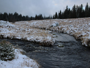 Zima v Česku byla teplá, v lednu meteorologové poprvé naměřil přes 19 stupňů