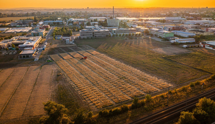 Olomoučtí vědci budou zkoumat, jak snížit spotřebu pesticidů či opět využít vysloužilé solární panely