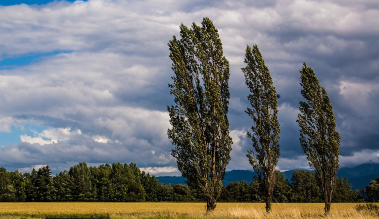 Na jihu Čech má dnes podle meteorologů foukat silný vítr. Na chvíli se vrátí zima