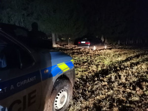 Muž ujížděl policii rychlostí 170 kilometrů v hodině. V lese ho vypátral pes Beggan