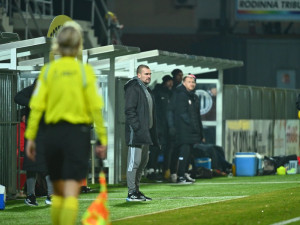 Musíme se připravit na další zápasy, říká Nikl