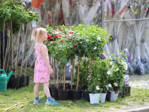 Výstaviště láká na nové i tradiční akce. Přijede Kohák i Peroutka, zahraje Škwor