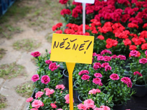 Výstaviště láká na nové i tradiční akce. Přijede Kohák i Peroutka, zahraje Škwor