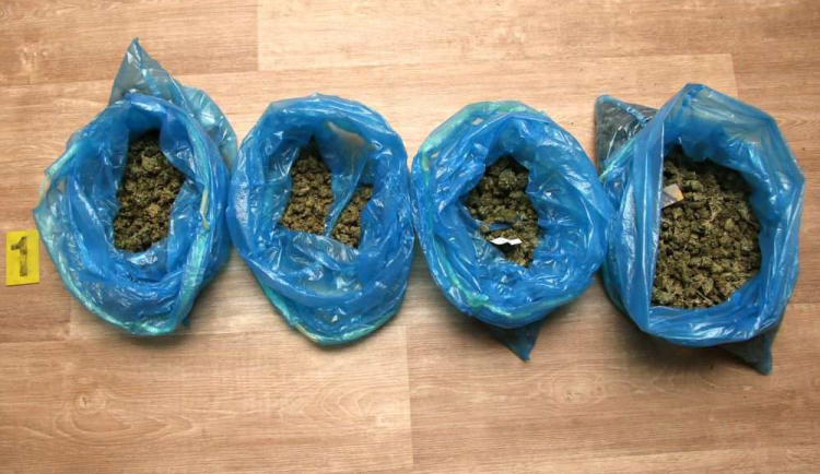 Při záchraně sebevraha policisté v rodinném domě na Kojetínsku našli téměř kilogram marihuany