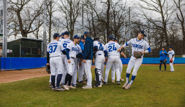 Sokol Hluboká zvládl i duel v Brně a sérii s Draky vyhrál