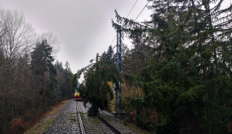 Správa železnic kácela dřeviny kolem tratí. Cílem je snížit počet mimořádných událostí