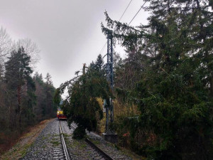 Správa železnic kácela dřeviny kolem tratí. Cílem je snížit počet mimořádných událostí