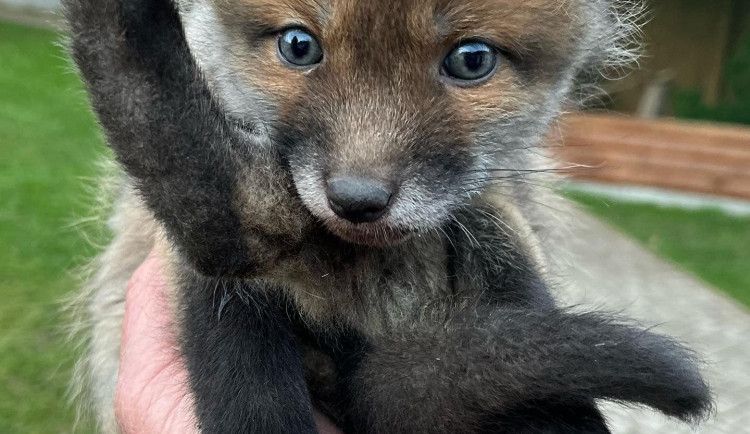 344761099_263201972811821_4676136917570585784_n