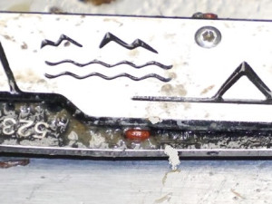 Policie stále pátrá po totožnosti mrtvého muže, kterého našla v lese u Nové Pece