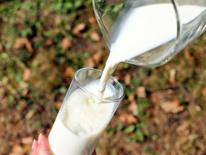 Madeta kvůli vládním škrtům dotací zřejmě ukončí dodávky mléka do škol