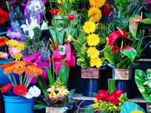 Slaví se Den matek. Květinářství čekají třetí nejsilnější prodeje v roce
