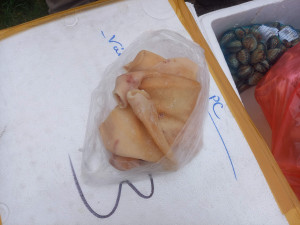 V dodávce vezl cizinec živé i mrtvé ryby a další vodní živočichy. Mířil do Rakouska