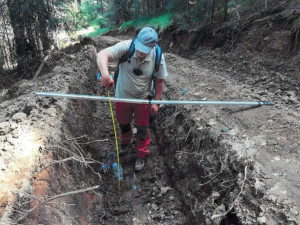 Národní park Šumava uložil kašperskohorským lesům pokutu 1,5 milionu za nešetrnou těžbu dřeva