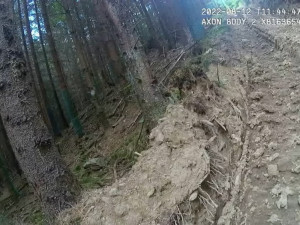Národní park Šumava uložil kašperskohorským lesům pokutu 1,5 milionu za nešetrnou těžbu dřeva