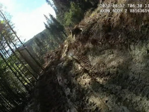 Národní park Šumava uložil kašperskohorským lesům pokutu 1,5 milionu za nešetrnou těžbu dřeva