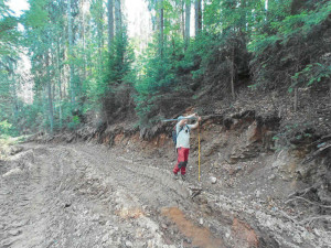 Národní park Šumava uložil kašperskohorským lesům pokutu 1,5 milionu za nešetrnou těžbu dřeva