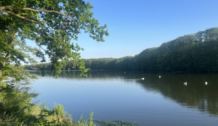 Česko čeká převážně slunečný týden s letními teplotami kolem 25 stupňů