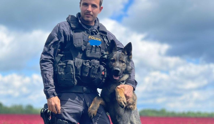 Šťastný konec pátrání. Policejní pes našel muže, který chtěl spáchat sebevraždu