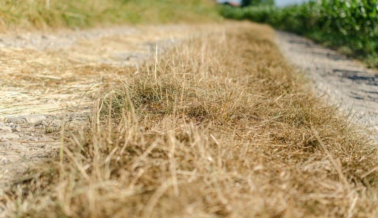 Pro část kraje platí kvůli suchu výstraha před požáry