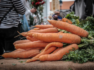 Více než polovina českých domácností si pěstuje ovoce a zeleninu