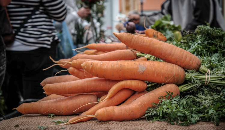 Více než polovina českých domácností si pěstuje ovoce a zeleninu