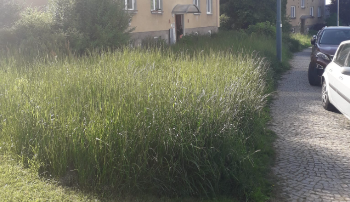 Jihlavané si stěžují na neposekanou trávu, najatá firma nestíhá. Už se to nebude opakovat, tvrdí město