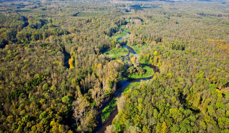 Ministerstvo chystá rozšíření Litovelského Pomoraví o více než tisíc hektarů. Obce a zemědělci jsou proti