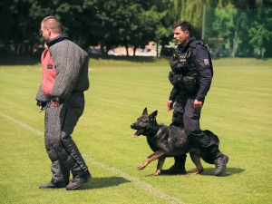 Den dětí se letos jihočeské policii opravdu parádně vyvedl