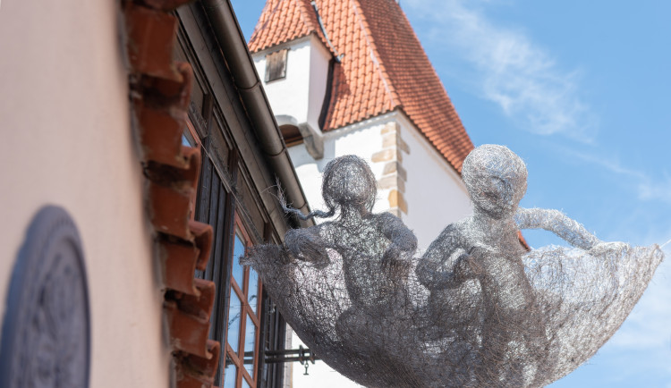 Veronika Psotková My Pet, my BFF. Autor: mar.matejkova@volny.cz