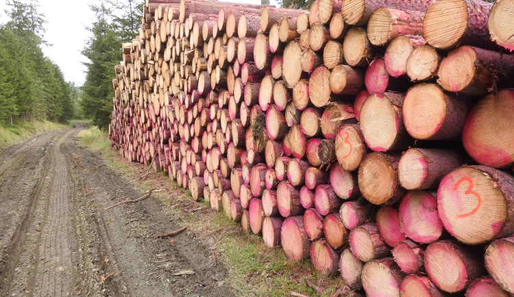 Chemické postřiky v nejcennějších částech Jeseníků dostaly stopku. Proti výjimce protestovali ochránci přírody