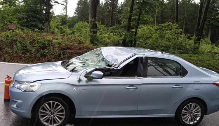 Silný vítr zlomil větev, která spadla na osobní automobil.