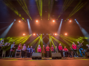 ARPI.DAY: To je festival, který spojuje