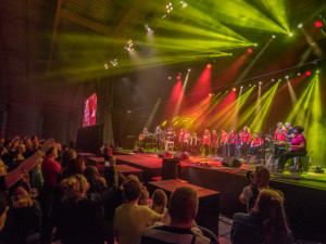 ARPI.DAY: To je festival, který spojuje