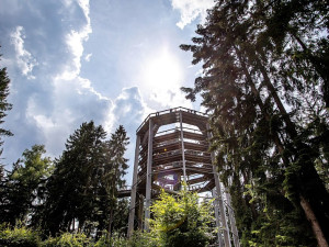 Stezka korunami stromů na Lipně věnovala Arpidě čtvrt milionu