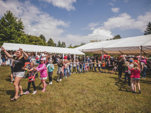 Borovany se opět chystají na nabitý víkend plný borůvek. Další ročník BORŮVKOBRANÍ se letos uskuteční ve dnech 8. a 9. července v areálu bývalého kláštera v Borovanech.