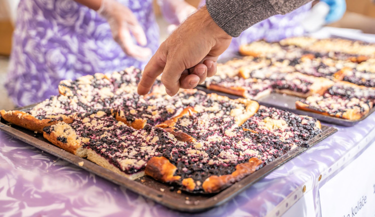 Borovany se opět chystají na nabitý víkend plný borůvek. Další ročník BORŮVKOBRANÍ se letos uskuteční ve dnech 8. a 9. července v areálu bývalého kláštera v Borovanech.