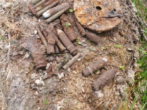 U hranic s Rakouskem našel muž protitankový granát a další munici