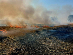 Požár pole u Radimovic u Želče.