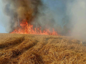 Požár pole u Radimovic u Želče.