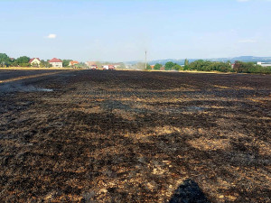 Požár pole u Radimovic u Želče.