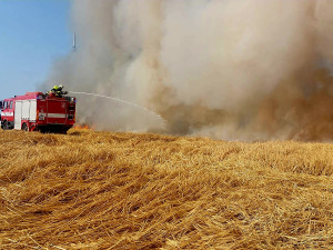 Požár pole u Radimovic u Želče.