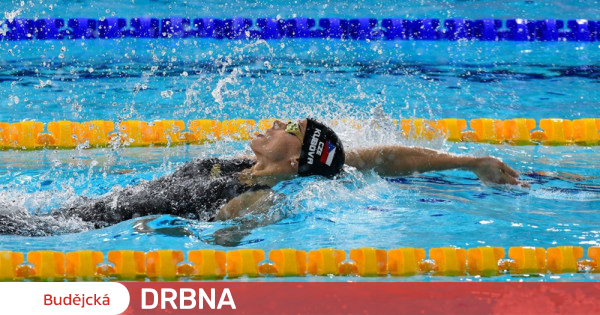 The best Czech swimmers are heading to Japan.  They will fight in the world championship |  News |  Budějska Drbna