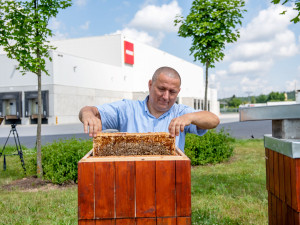 Pomáháme hezky česky: PENNY pro včely