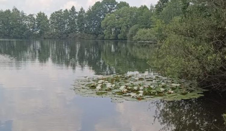 Voda na Poděbradech a na Plumlovské přehradě je v pořádku. Potvrdily to poslední rozbory